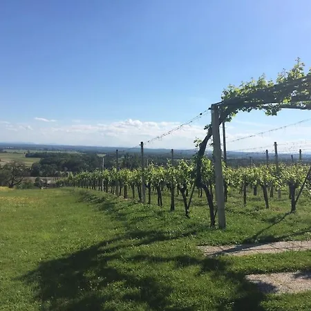 Apartma Soncek - House In The Vineyard * Puconci