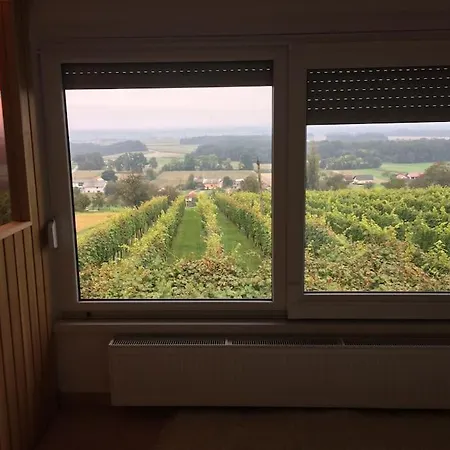 Apartma Soncek - House In The Vineyard Puconci