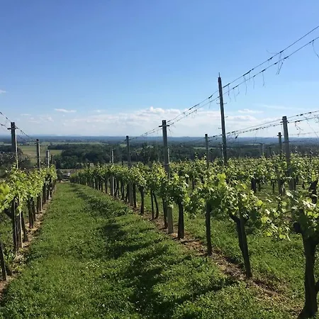 بيت للعطل Apartma Soncek - House In The Vineyard