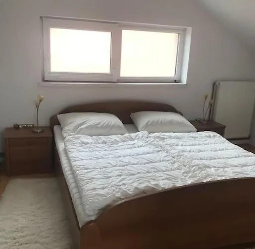 Apartma Soncek - House In The Vineyard *